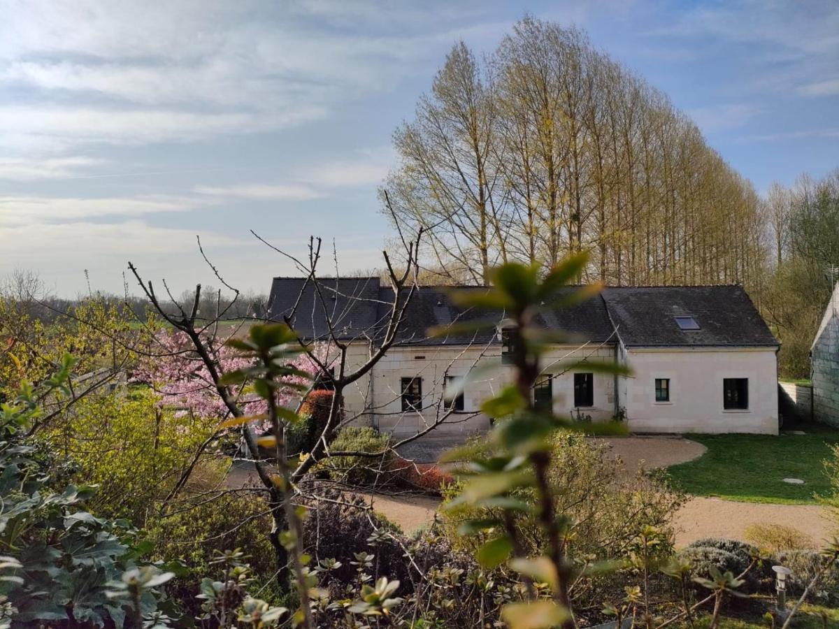 Les Logis D Usse Villa Rigny-Ussé Eksteriør billede